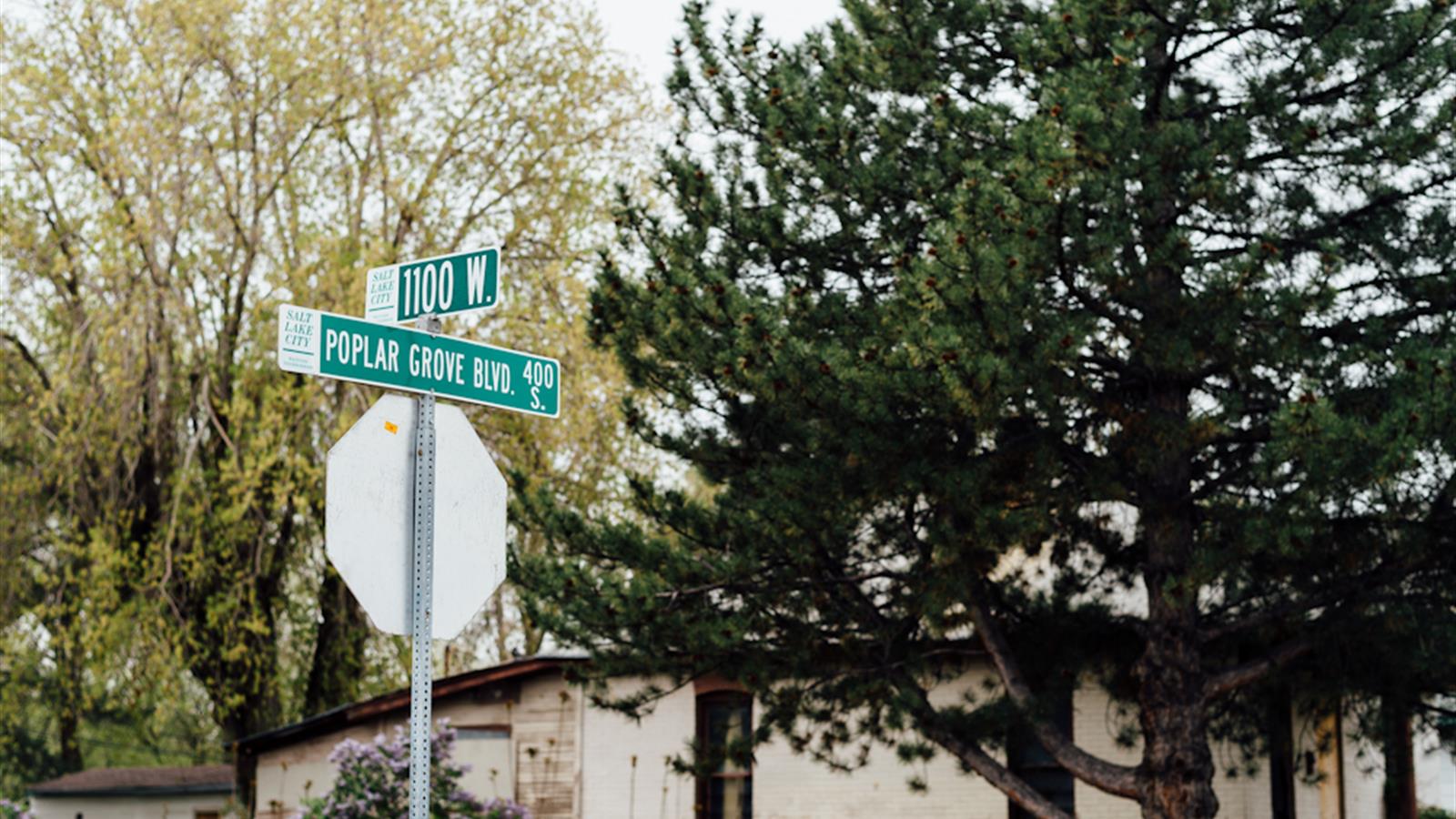 Poplar Grove cityhomeCOLLECTIVE